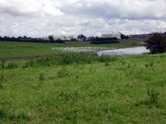 Sandbach