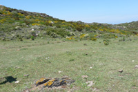 Hillside view